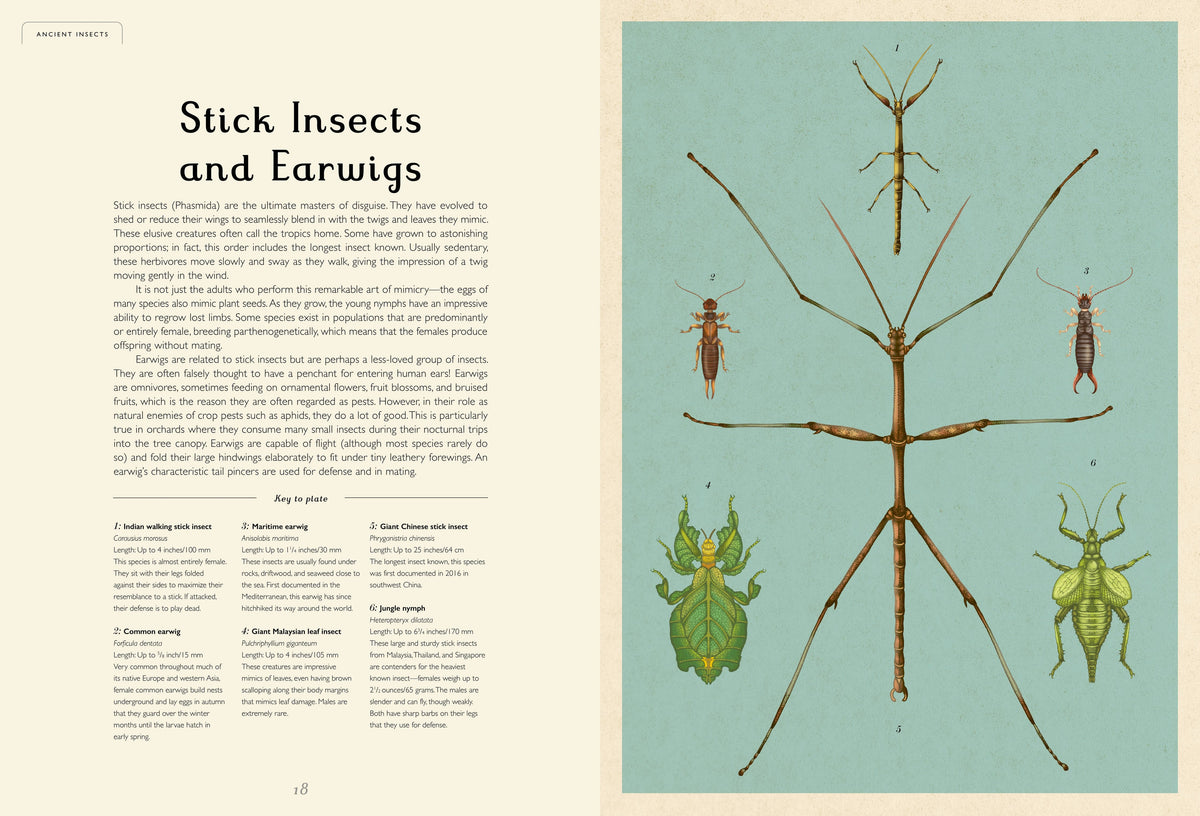 Insectarium