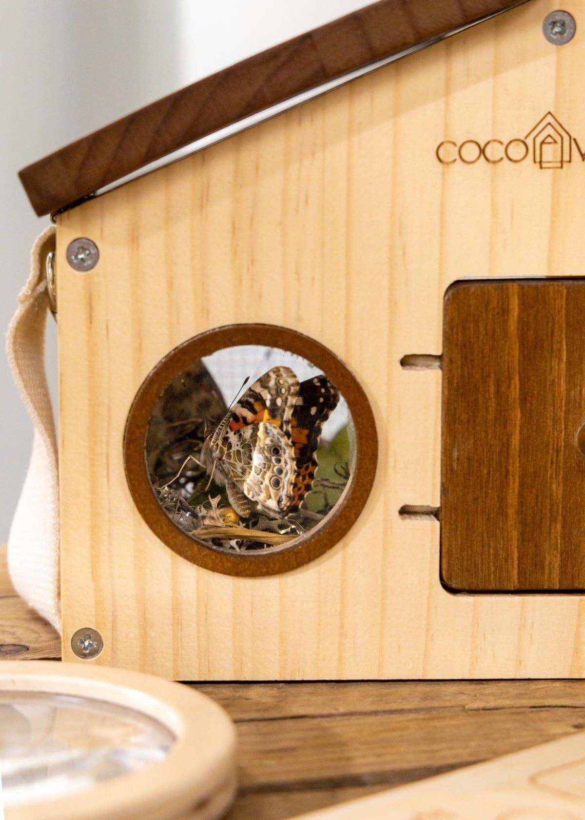 Wooden Bug House & Exploration Set