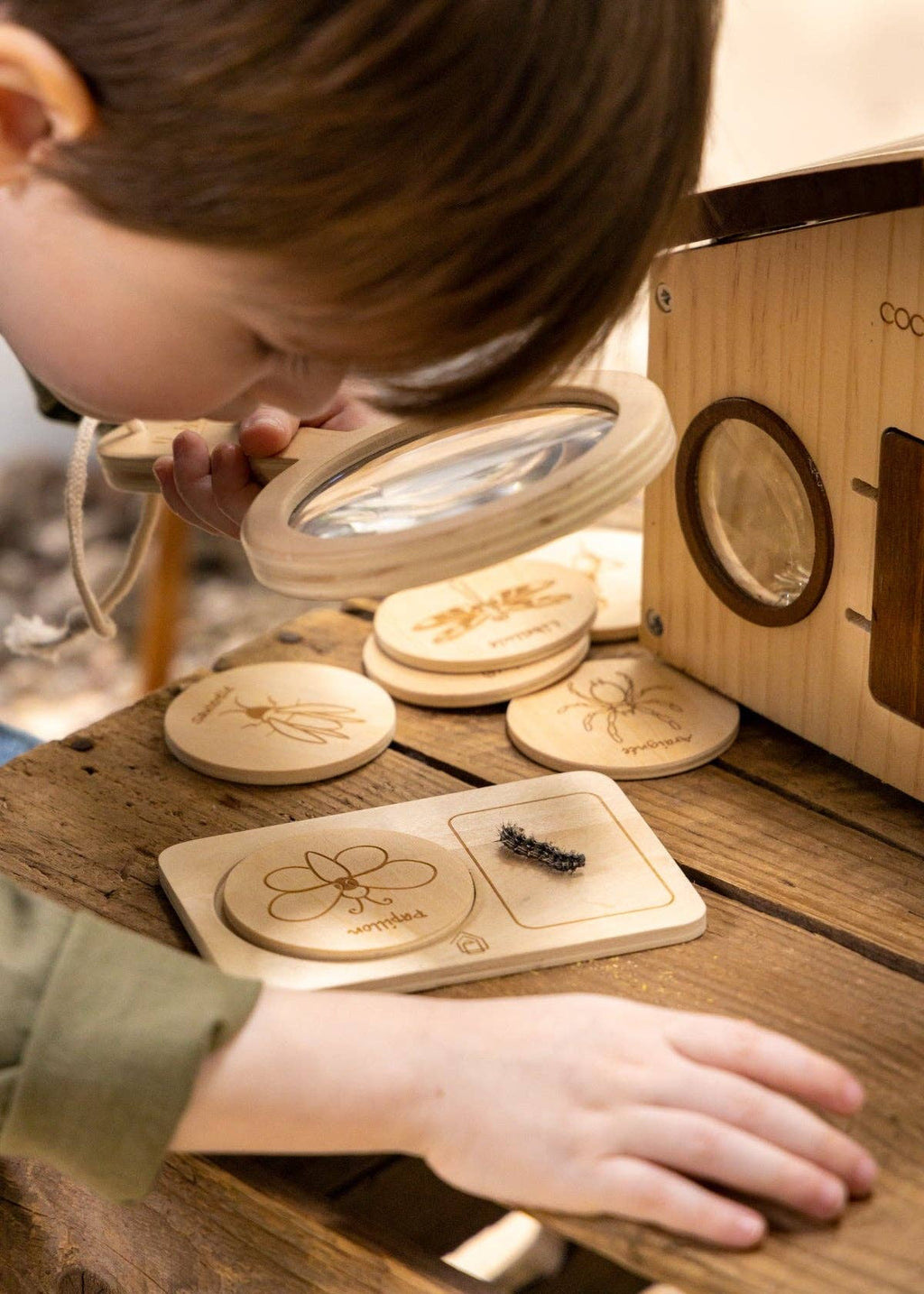 Wooden Bug House & Exploration Set