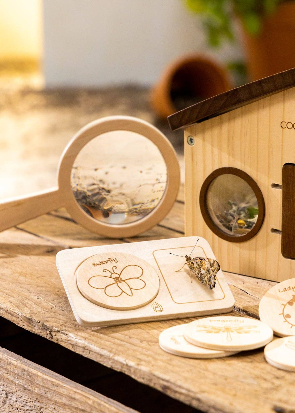 Wooden Bug House & Exploration Set